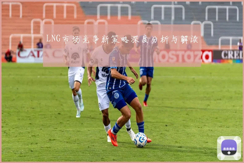 LNG市场竞争新策略深度分析与解读