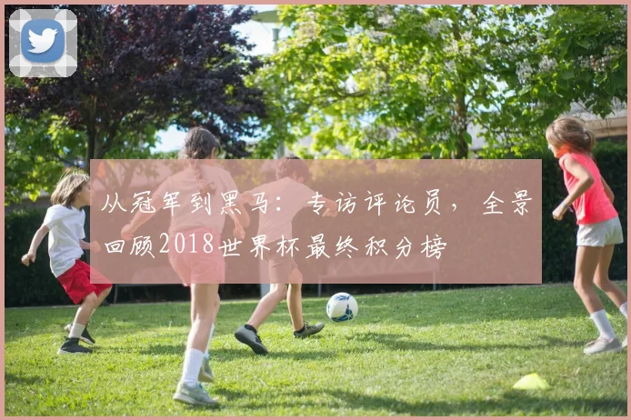 从冠军到黑马：专访评论员，全景回顾2018世界杯最终积分榜