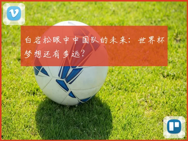 白岩松眼中中国队的未来：世界杯梦想还有多远？