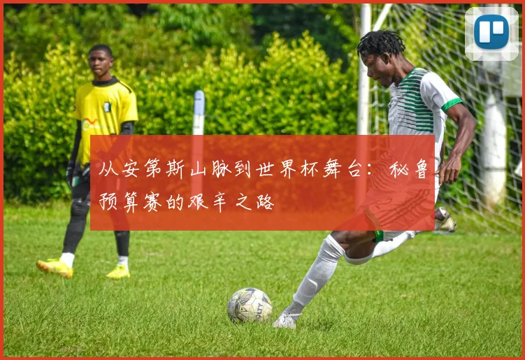 从安第斯山脉到世界杯舞台：秘鲁预算赛的艰辛之路
