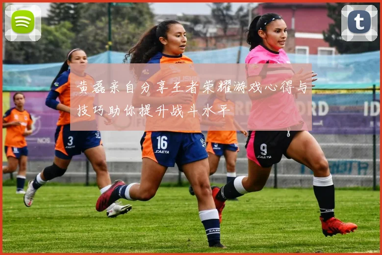 黄磊亲自分享王者荣耀游戏心得与技巧助你提升战斗水平