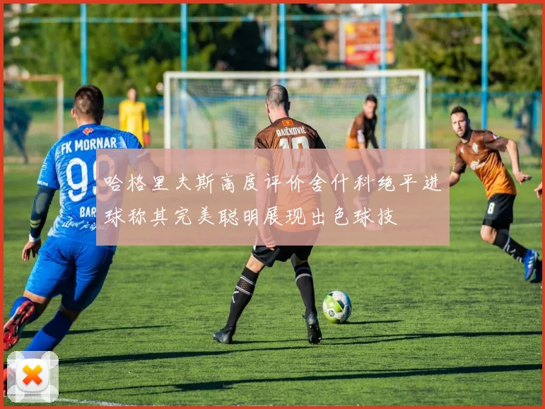 哈格里夫斯高度评价舍什科绝平进球称其完美聪明展现出色球技