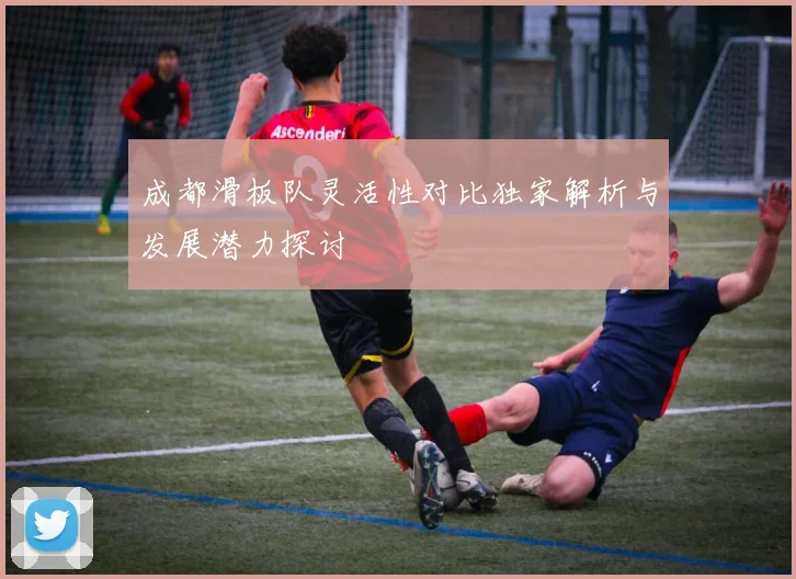 成都滑板队灵活性对比独家解析与发展潜力探讨